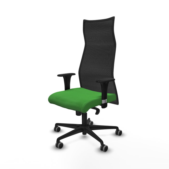 Piqueras y Crespo Chaise de Bureau Albacete XL Vert et Noir