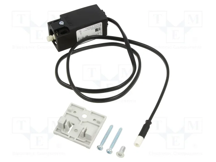 RITTAL Interrupteur de sécurité sur une porte 24VDC RITTAL Interrupteur de sécurité sur une porte 24VDC