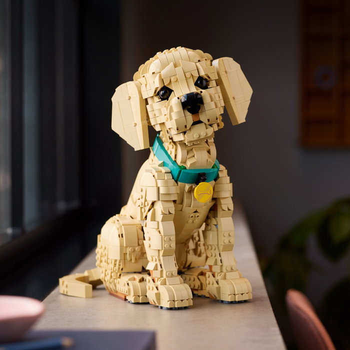 LEGO Icons 11384 Le Chiot Golden Retriever LEGO Icons 11384 Le Chiot Golden Retriever