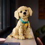 LEGO Icons 11384 Le Chiot Golden Retriever