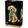 LEGO Icons 11384 Le Chiot Golden Retriever