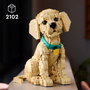LEGO Icons 11384 Le Chiot Golden Retriever