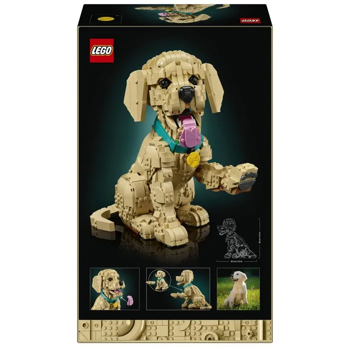 LEGO Icons 11384 - Set de Construction pour Adulte - Maquette de Chiot Golden Retriever Articulé - 2102 Pièces