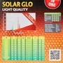 Exo Terra Solar Glo 80W - Ampoule à vapeur pour reptiles et tortues, 80 W, verre, 14 x 14 x 17 cm