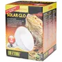 Exo Terra Solar Glo 80W - Ampoule à vapeur pour reptiles et tortues, 80 W, verre, 14 x 14 x 17 cm