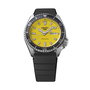 Montre Homme Seiko SRPL87K1