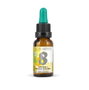 MARNYS FORMULA 08 ATREVIMIENTO complexe floral 20ml