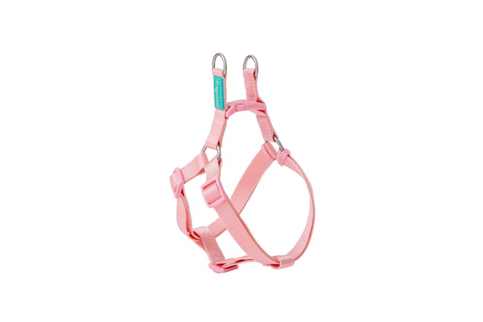 Freedog Harnais Nylon Basic Type à Rose 8mm 15/30cm Freedog Harnais Nylon Basic Type à Rose 8mm 15/30cm