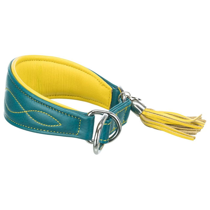 Collier de dressage Trixie Active Comfort Jaune Bleu 21-26 cm Collier de dressage Trixie Active Comfort Jaune Bleu 21-26 cm