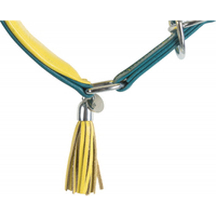 Collier de dressage Trixie Active Comfort Jaune Bleu 21-26 cm Collier de dressage Trixie Active Comfort Jaune Bleu 21-26 cm