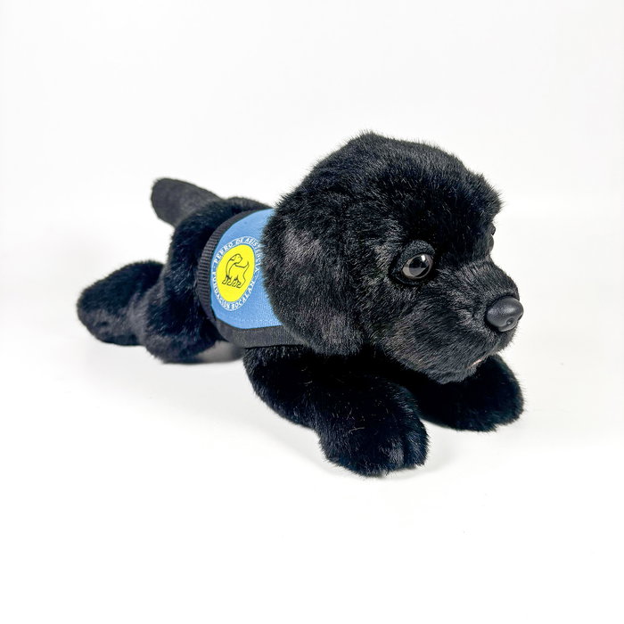 DEQUBE Peluche Labrador noir 21 cm avec gilet - Jouet doux de bienfaisance BOCALAN 939D00249