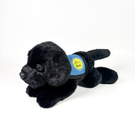 DEQUBE Peluche Labrador Noir 21cm avec Gilet