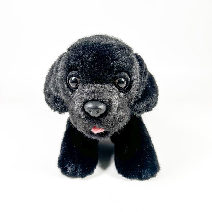 DEQUBE Peluche Labrador noir 21 cm avec gilet - Jouet doux de bienfaisance BOCALAN 939D00249