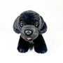 DEQUBE Peluche Labrador noir 21 cm avec gilet - Jouet doux de bienfaisance BOCALAN 939D00249