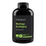 Zenement Moringa 600 mg 260 capsules Bio