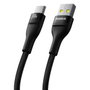 Baseus Câble USB A vers USB-C Noir 1 m