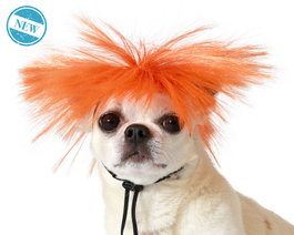 Perruque orange pour animaux
