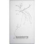 Nasomatto Silver Musk Extrait de Parfum 30 ml
