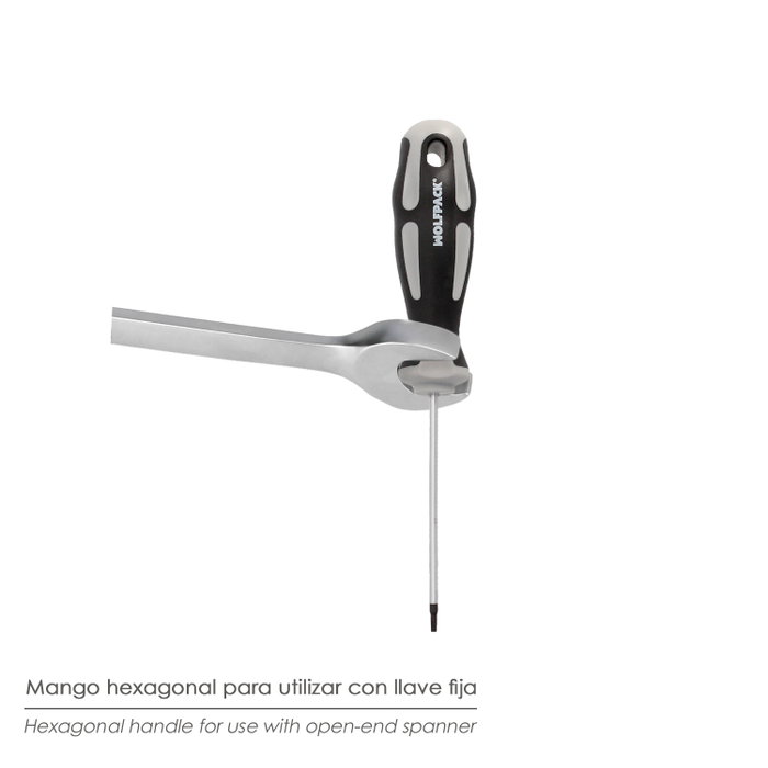 WOLFPACK LINEA PROFESIONAL Tournevis Torx Inviolable T15