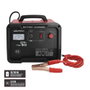 WOLFPACK LINEA PROFESIONAL Chargeur de batterie 12/24V 30-350Ah avec démarreur