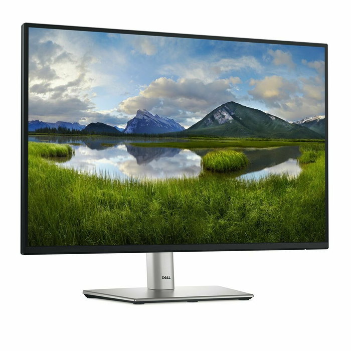 Dell P2425E Moniteur 24 pouces WUXGA 100 Hz Noir Dell P2425E Moniteur 24 pouces WUXGA 100 Hz Noir