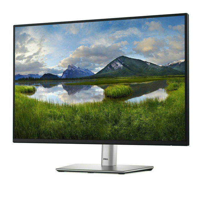 Dell P2425E Moniteur 24 pouces WUXGA 100 Hz Noir Dell P2425E Moniteur 24 pouces WUXGA 100 Hz Noir
