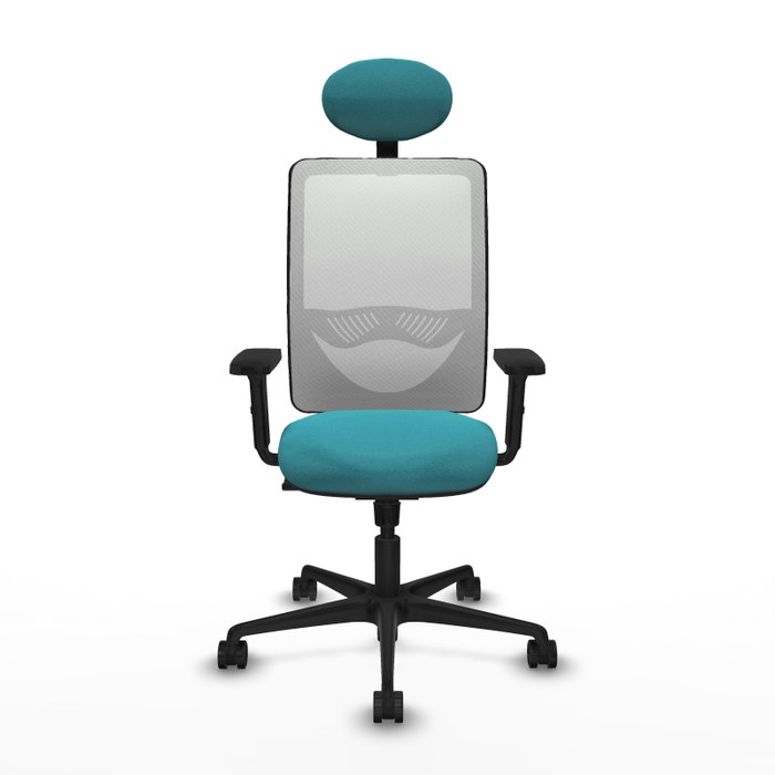 PIQUERAS Y CRESPO Chaise Zulema Synchro Turquoise et Blanc PIQUERAS Y CRESPO Chaise Zulema Synchro Turquoise et Blanc
