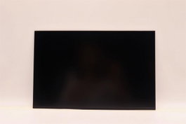 Lenovo Écran 14 pouces WUXGA IPS 1920 x 1200 antireflet