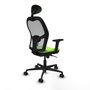 Piqueras y Crespo Chaise de Bureau 2D036N1 Pistache