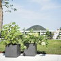 Deroma Pot de fleurs Cube Millennium R Anthracite - 39 x H39,1 cm