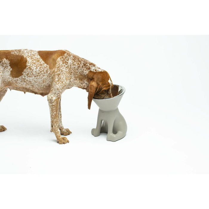 Mangeoire pour chiens United Pets Up Elisabeth Gris Acier inoxydable Polyéthylène 1 L Mangeoire pour chiens United Pets Up Elisabeth Gris Acier inoxydable Polyéthylène 1 L