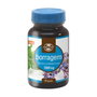 Naturmil Bourrache 90 perles 1000mg
