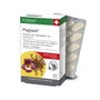 DR DUNNER Pagosid Capsules
