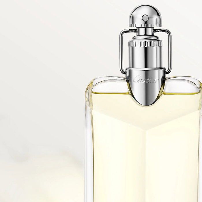 Cartier Déclaration Eau de Toilette 100 ml