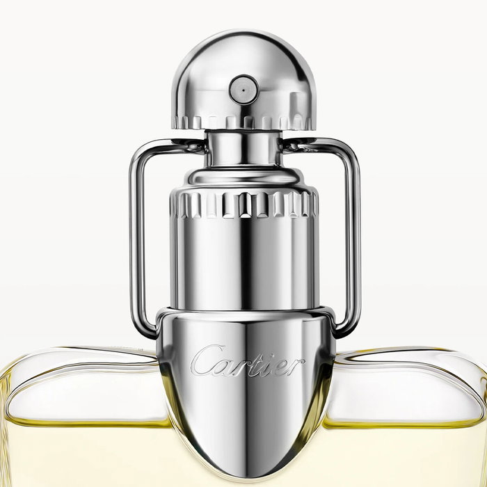 Cartier Déclaration Eau de Toilette 100 ml