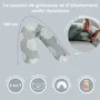 Beaba Big Flopsy Coussin d'allaitement Gris