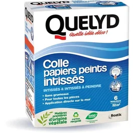 Quelyd Colle papiers peints Intissés en poudre avec étui doseur 300 g