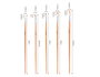 Innspiro Set de 5 pinceaux plats à manche long nº 2, 4, 6, 8, 10