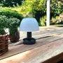Lumisky LUMINA - Lampe de table solaire à LED avec 4 intensités réglables (blanc) - Usage intérieur et extérieur - Autonomie 8h