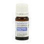 Esential Aroms Huile Essentielle de Ylang Ylang BIO 5 ml