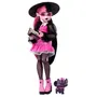 Monster High Poupée Draculaura HRP64 avec Animal de Compagnie Count Fabulous et Accessoires - Tenue Fuchsia et Noire