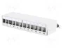 DIGITUS Panneau de brassage Keystone blindé 12 ports 1U