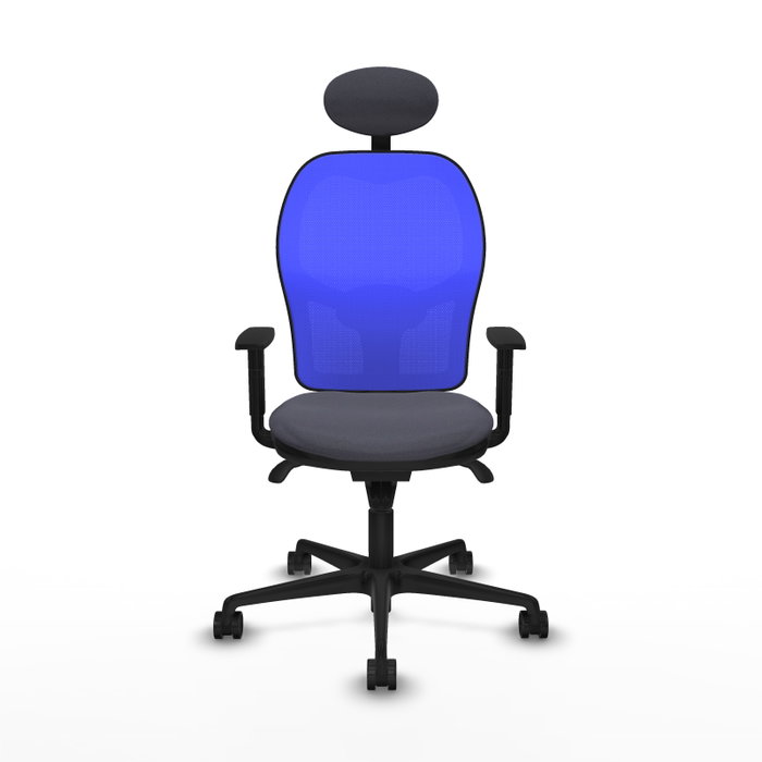Piqueras y Crespo Chaise de Bureau Jorquera avec Appui-tête, Gris Foncé et Bleu Piqueras y Crespo Chaise de Bureau Jorquera avec Appui-tête, Gris Foncé et Bleu