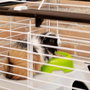 Ferplast Casita 80 - Cage pour cobaye ou lapin - 78 x 48 x 50 cm