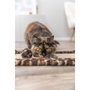 Trixie LEO Tapis griffoir Brun imprimé léopard 55 x 35 cm