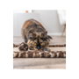 Trixie LEO Tapis griffoir Brun imprimé léopard 55 x 35 cm