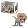 Funko Pop Jurassic World Atrociraptor (Ghost)