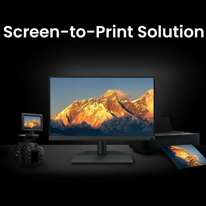 Écran BenQ SW242Q Full HD WQXGA 24,1"