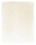 Panpastel 760.8 Terre d'ombre brûlée teinte