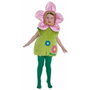 Creaciones Llopis Déguisement Fleur pour Enfant 5-6 Ans